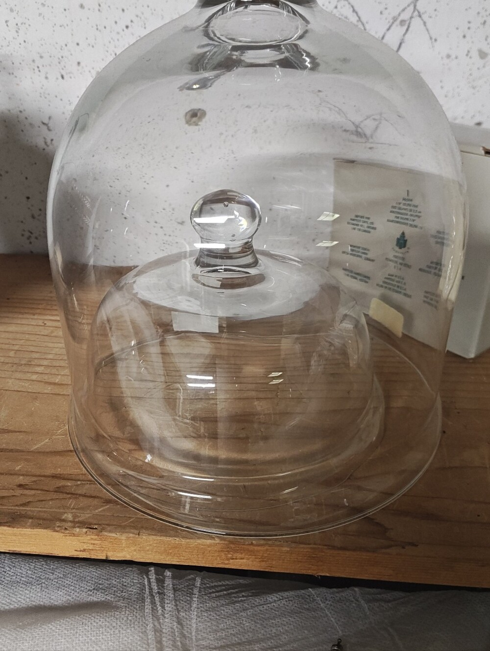 Clear Glass Cloche Dome with Knob Top